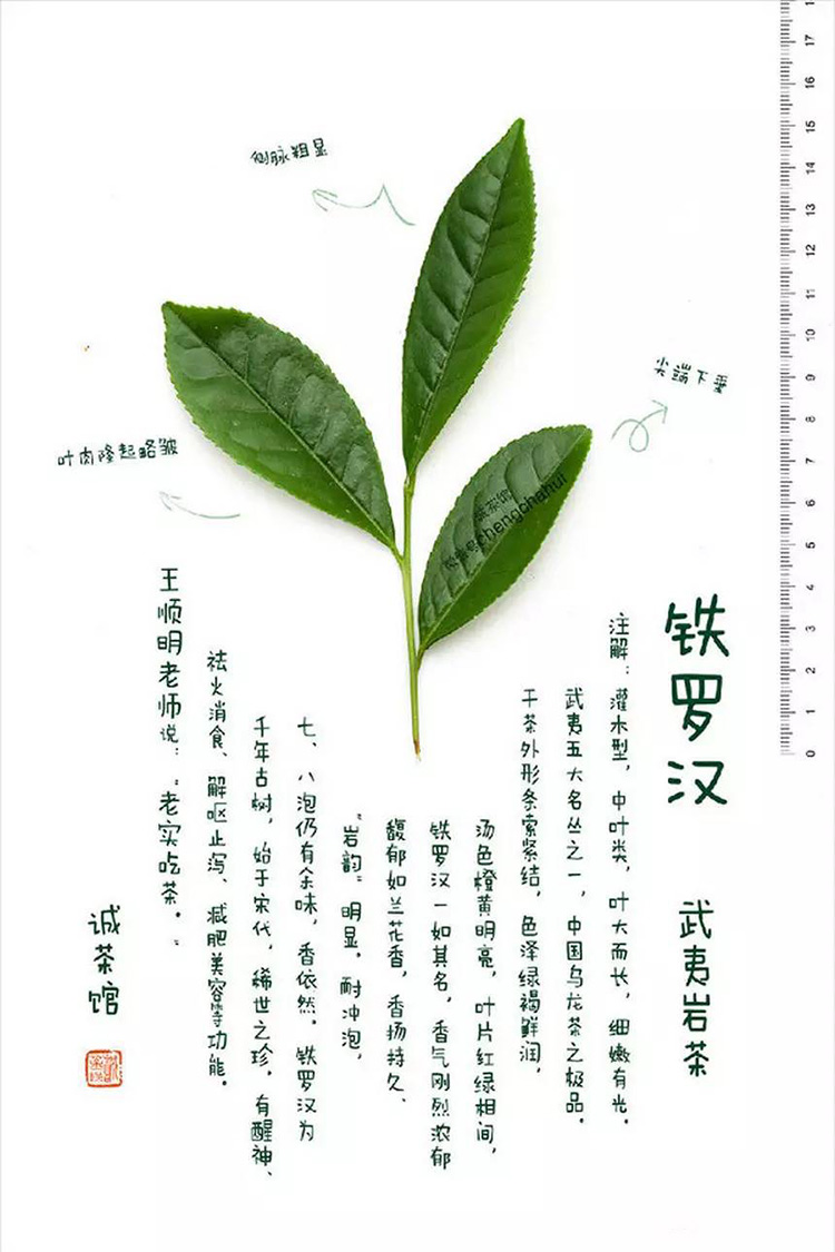 铁罗汉茶叶形状