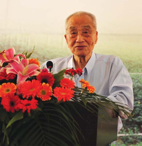 百岁茶人张天福