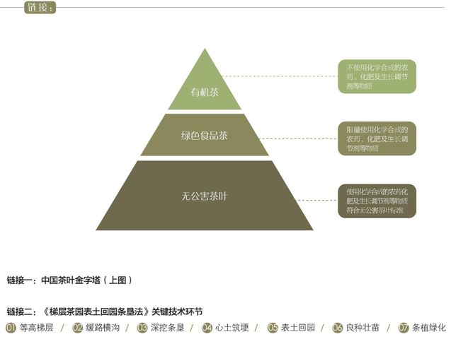 有机茶处于中国茶叶金字塔的