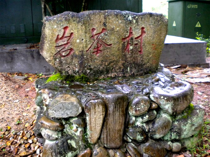 武夷山岩茶村，武夷岩茶的圣地