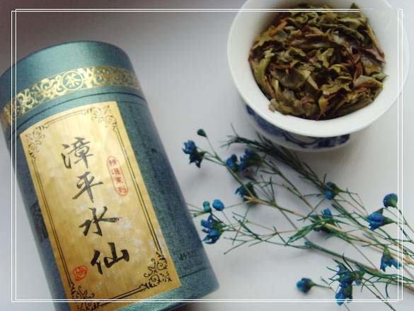 漳平水仙大红袍岩茶茶会友